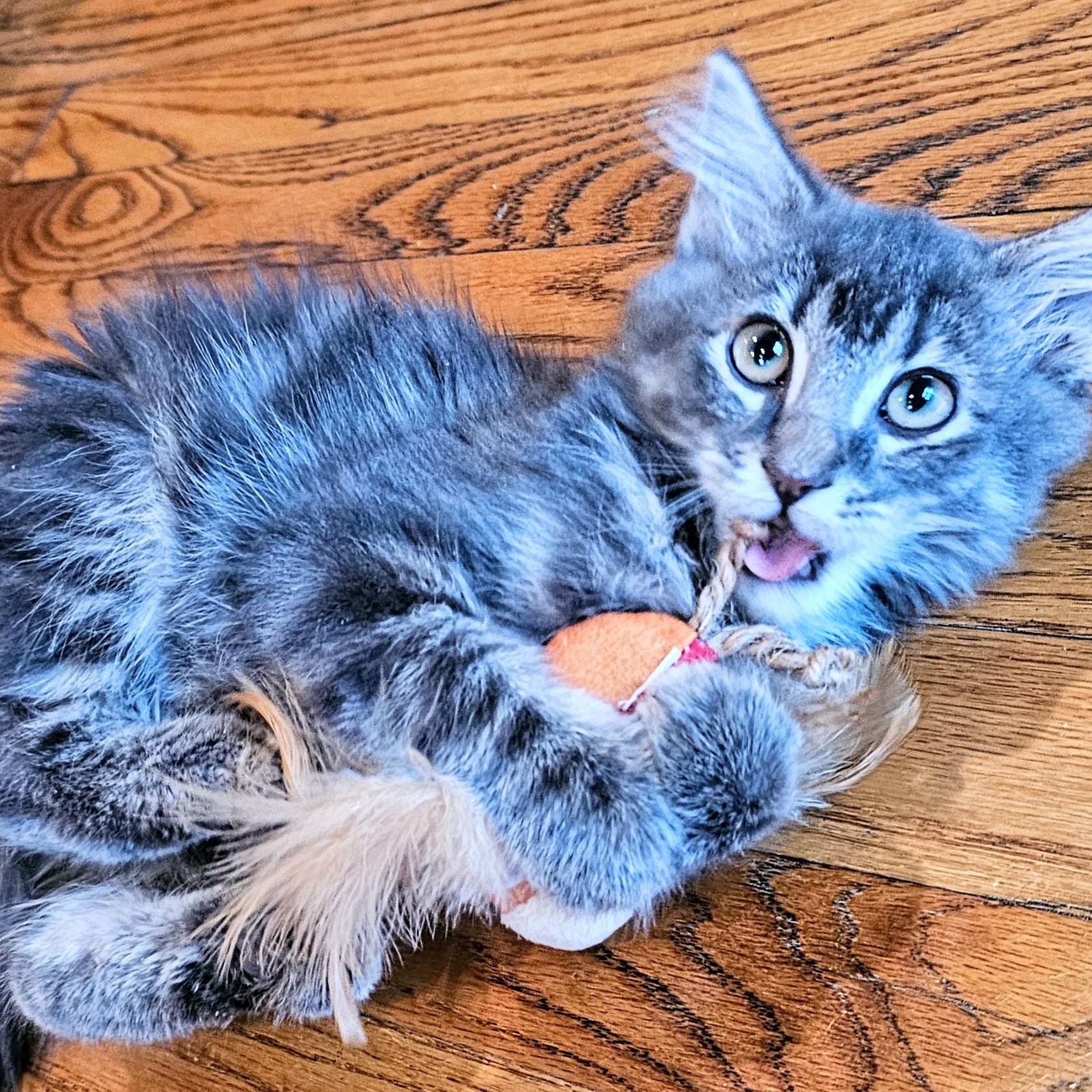 Lunchable thumbnail 6