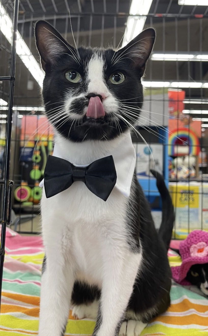 Spock (bonded to Captain Kirk)