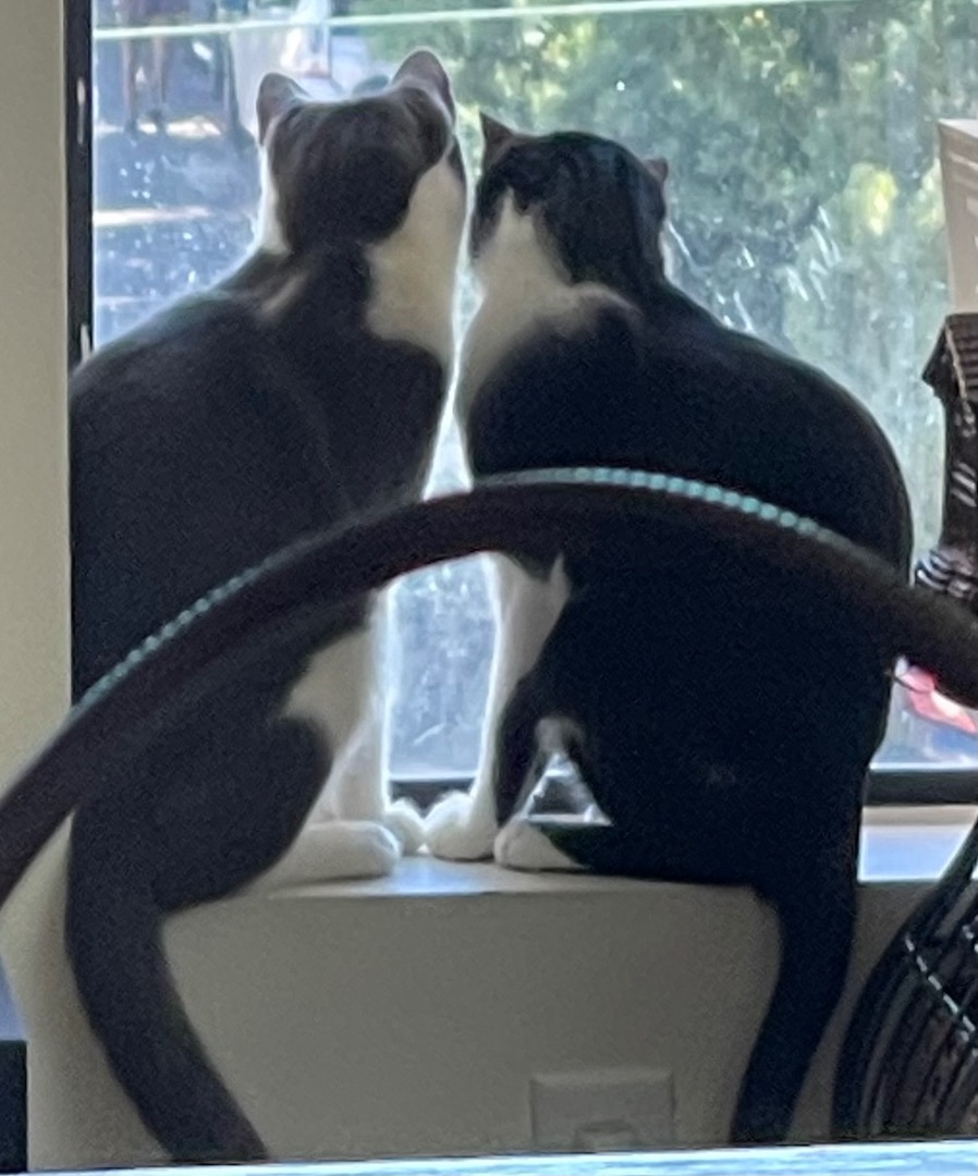 Spock (bonded to Captain Kirk) — thumbnail 2