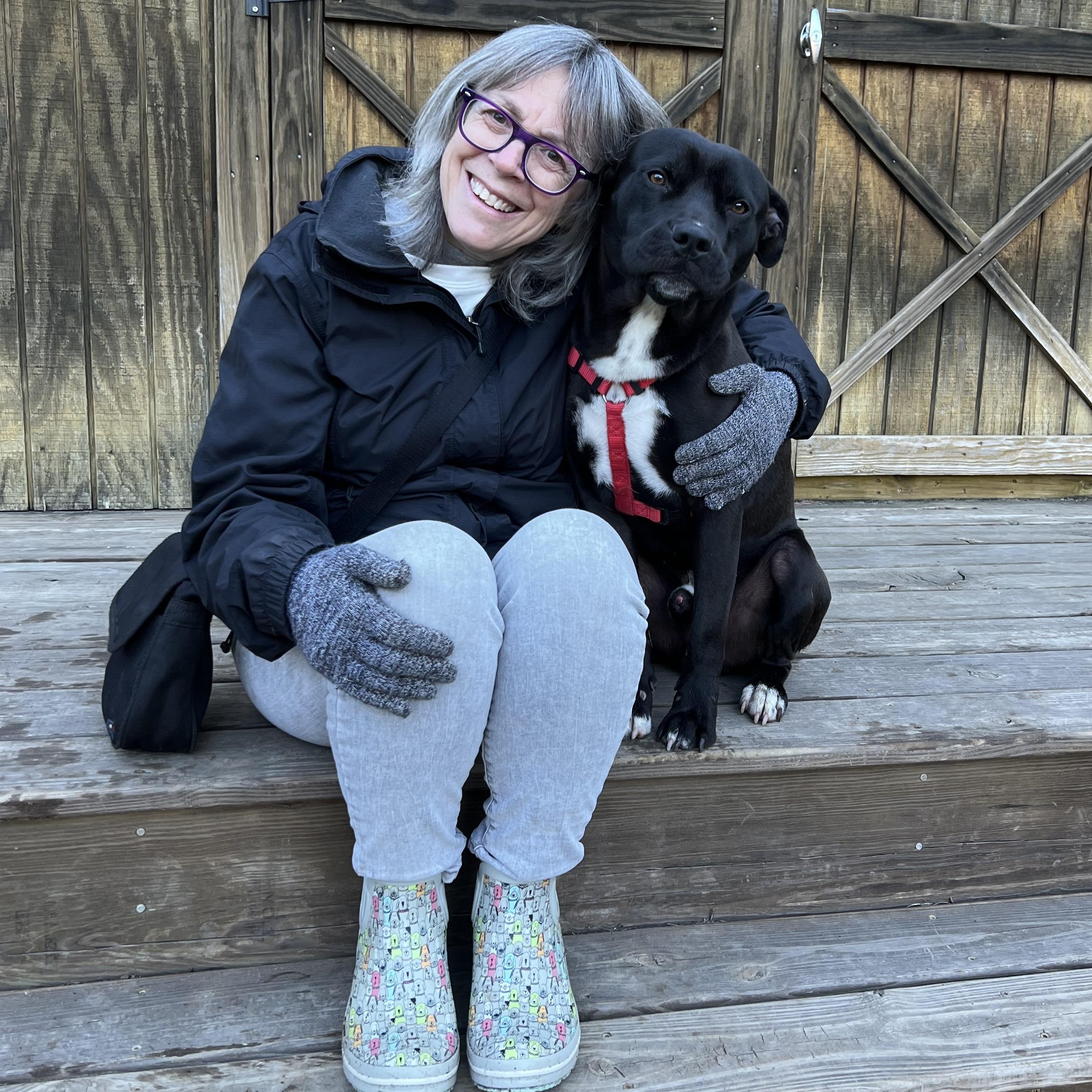 Enlarge Rizzo , a ADOPTABLE mixed breed in Cedar Mountain, NC image 2/6