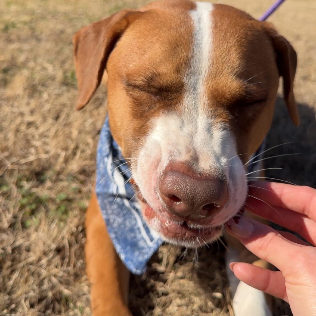 Bret — thumbnail 6