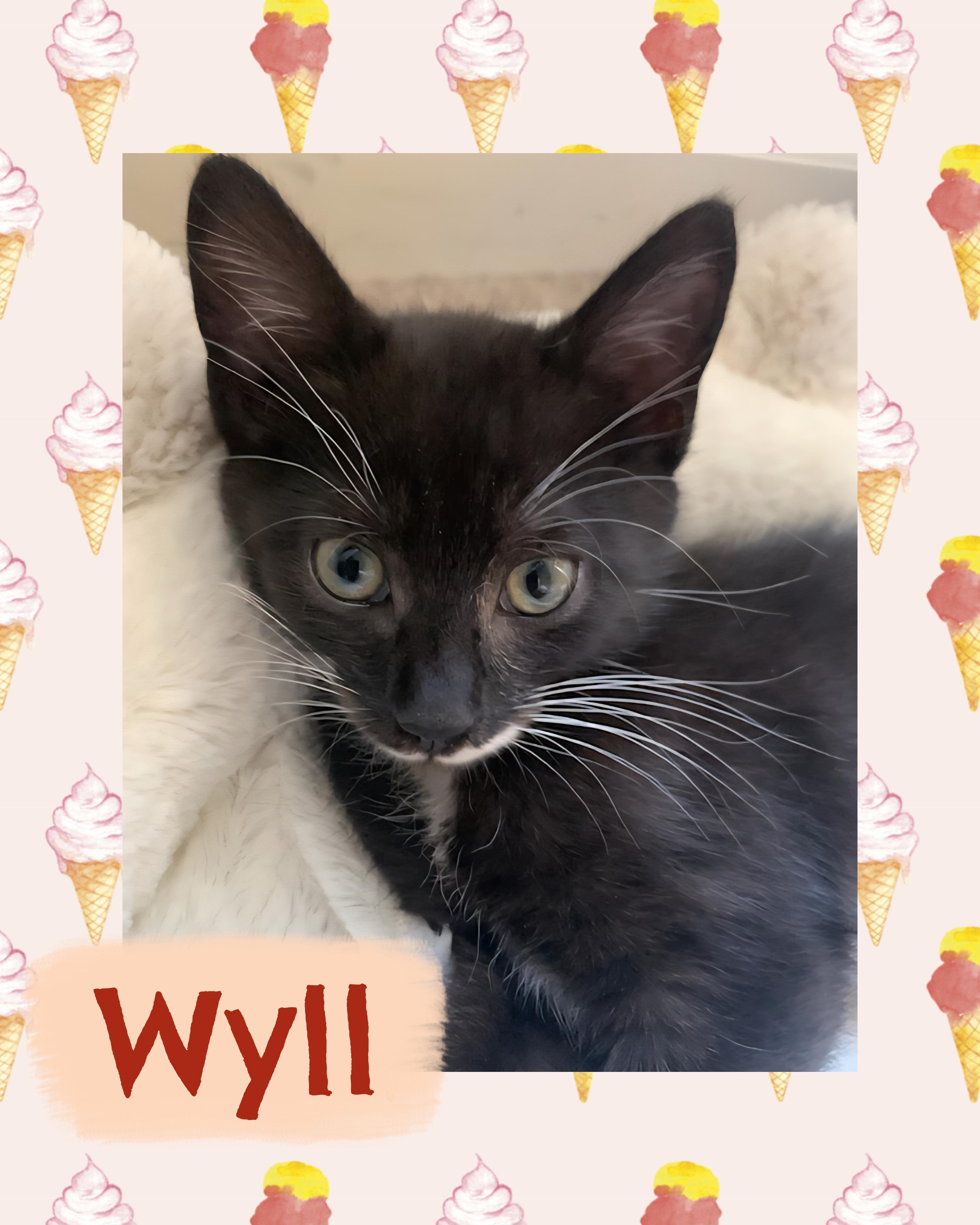 Wyll
