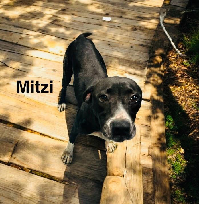 Mitzi 1