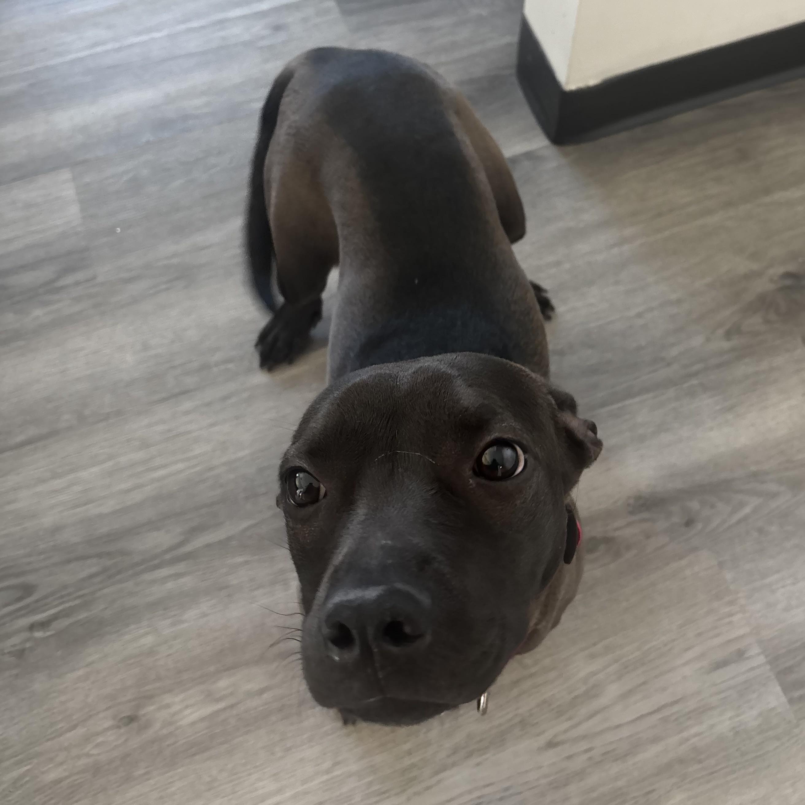 Shandon — thumbnail 2