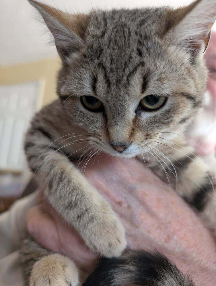 Eloise — thumbnail 2