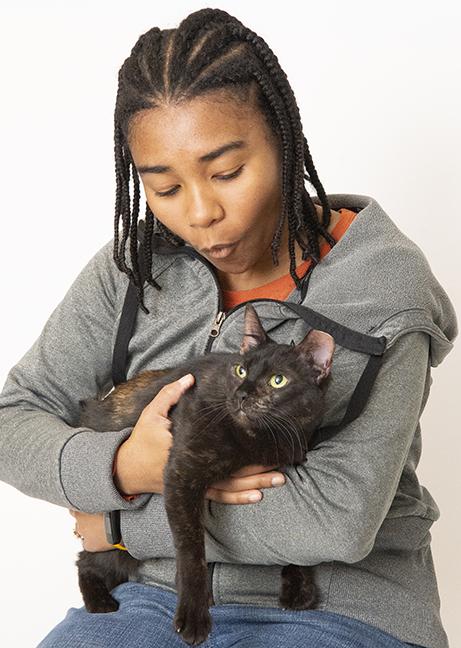 Enlarge Stella, a ADOPTABLE Tortoiseshell in Chicago, IL image 2/5