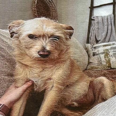 Gilbert Aka Coco Jum thumbnail 3