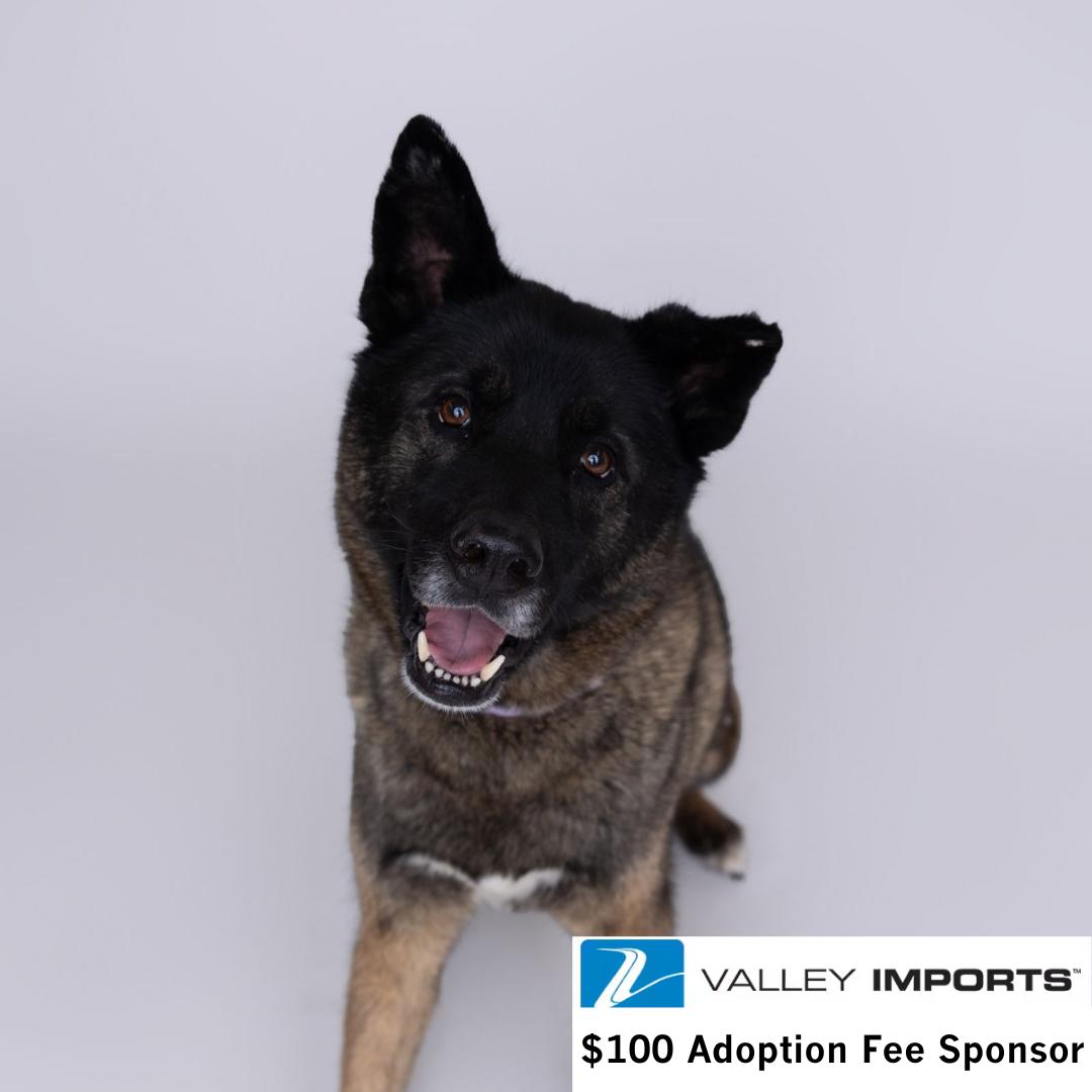 Guthrie — thumbnail 2