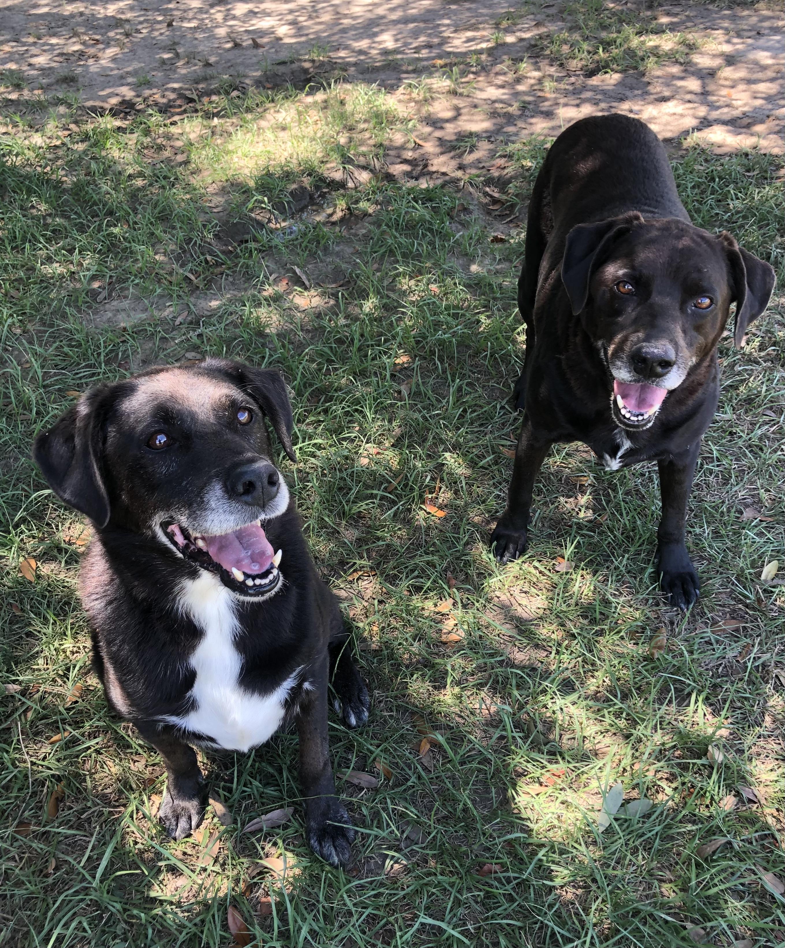 Jim and Scout photo 3