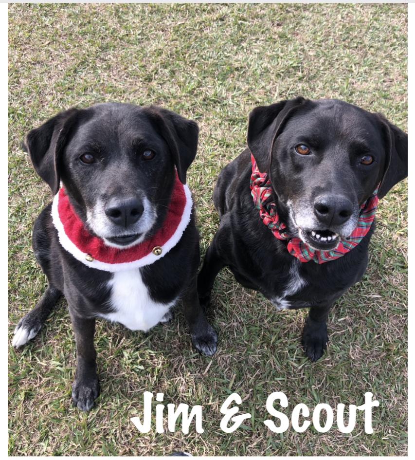 Jim and Scout