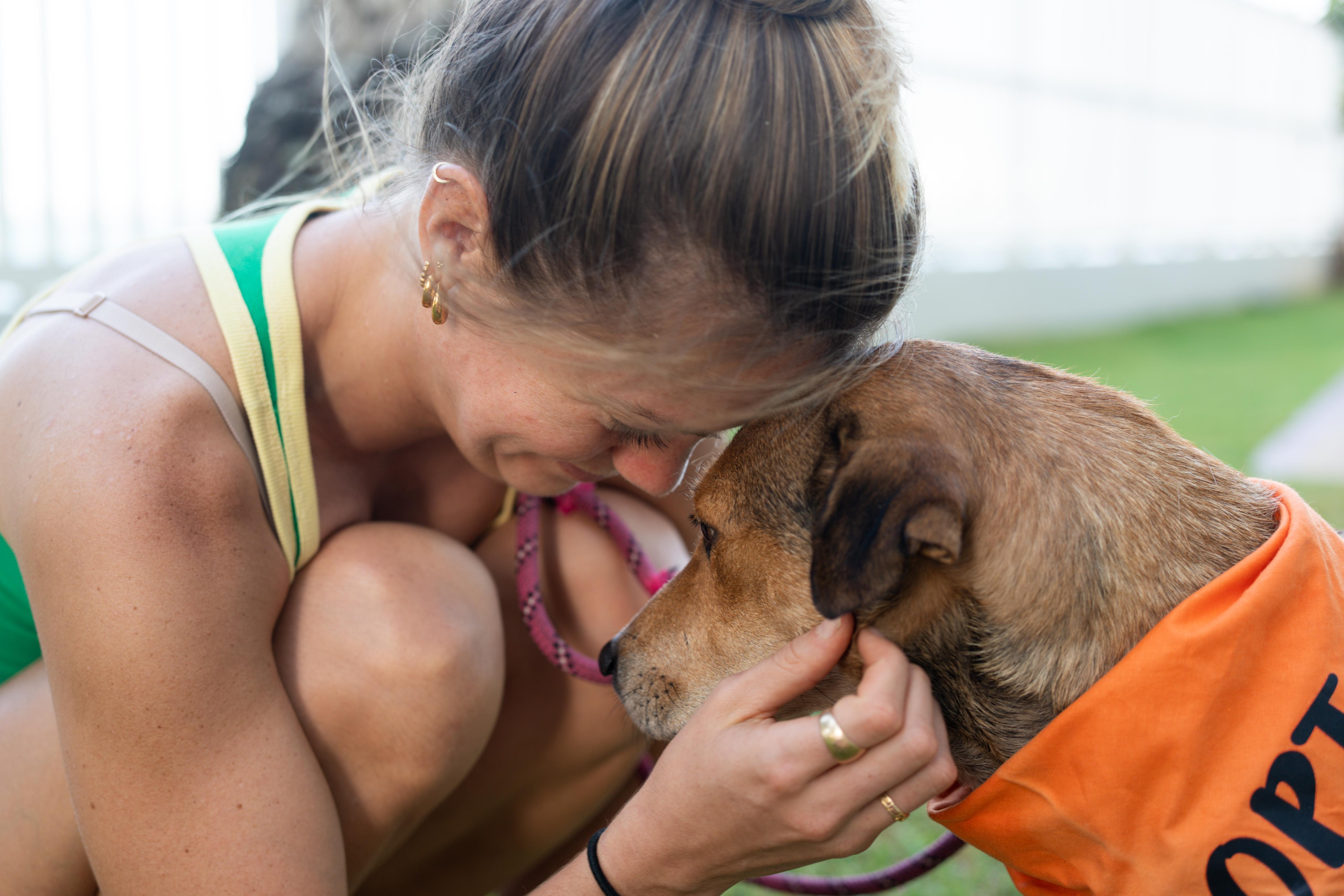Momma Faith, a Adopted mixed breed in CHICAGO, IL image 4/6