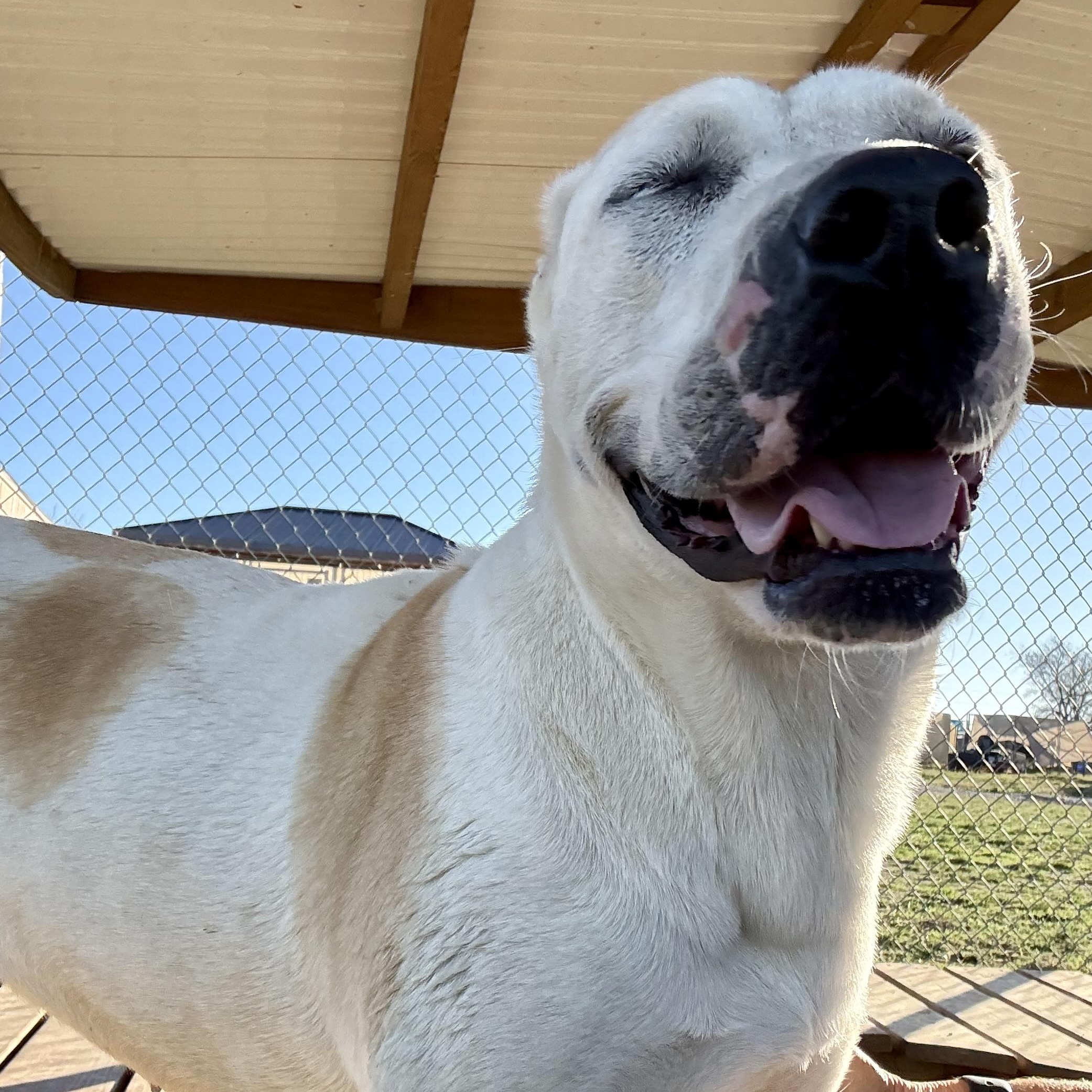 Missy Jane — thumbnail 2