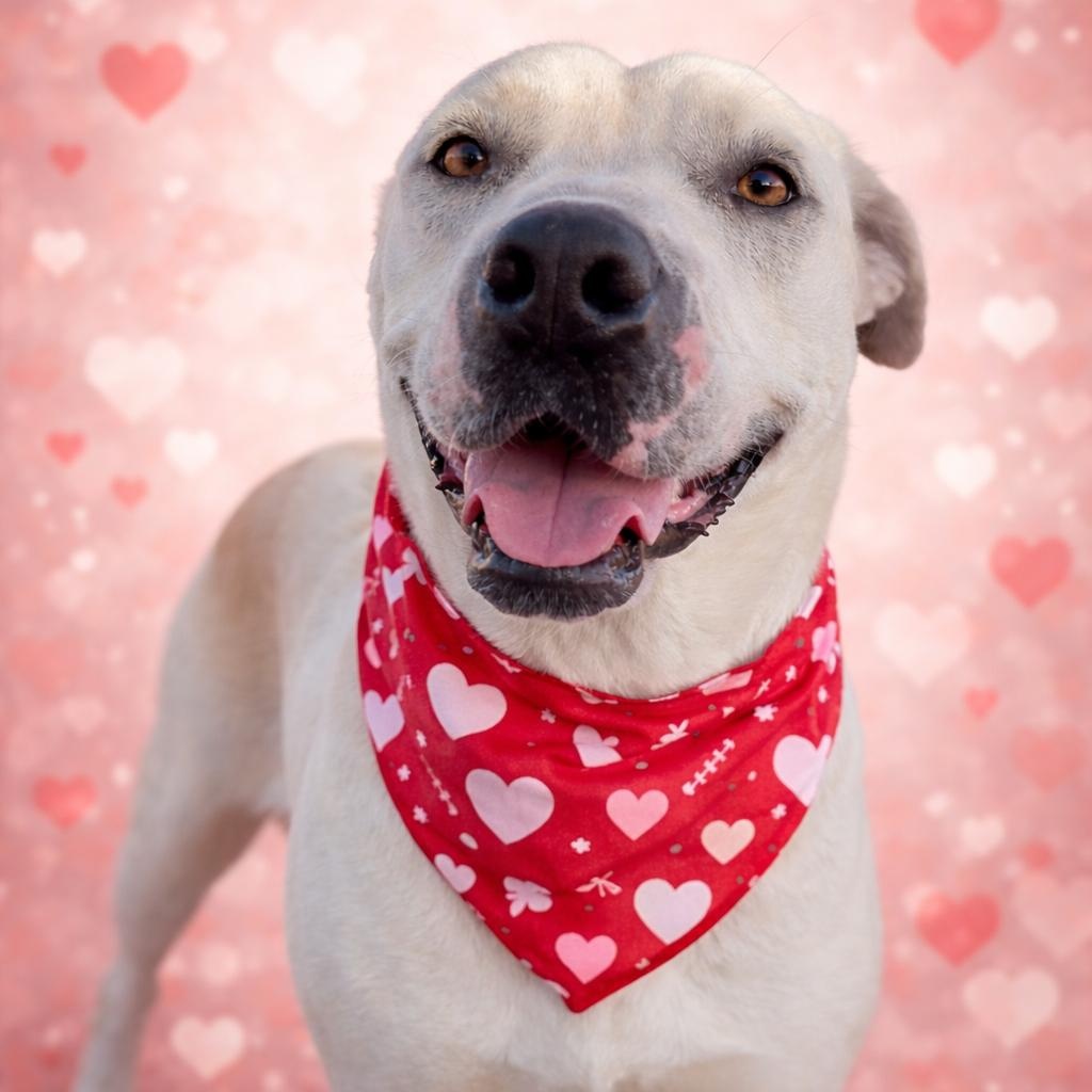 Missy Jane — thumbnail 3