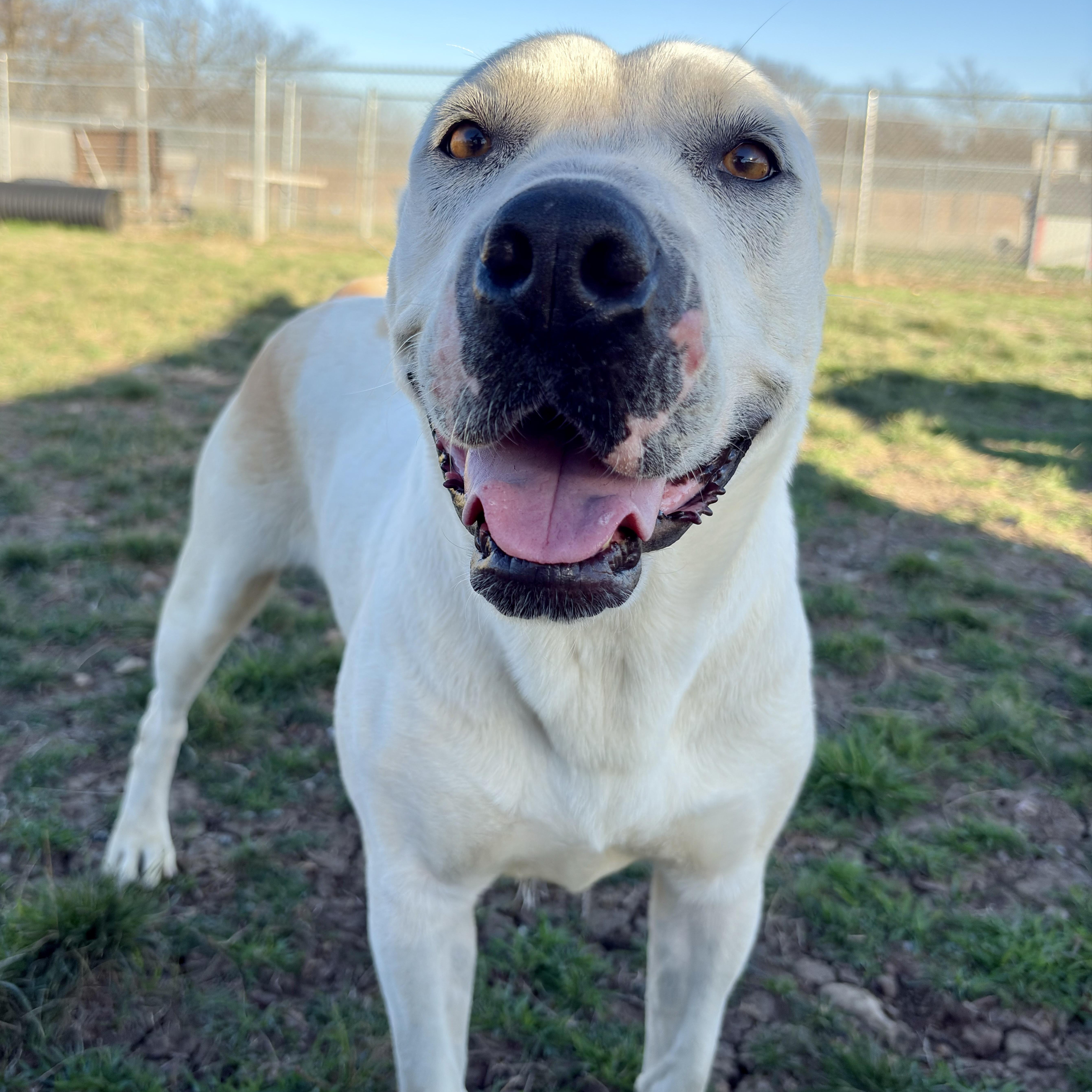 Missy Jane — thumbnail 4