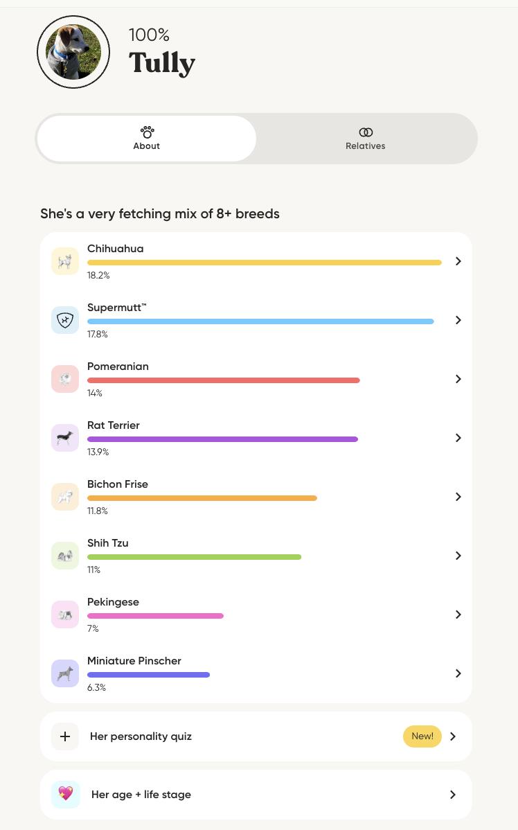 Enlarge Lexus, a Adoptable mixed breed in Silvana, WA image 6/6