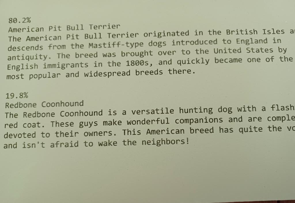 Enlarge BUBBA, a Adoptable mixed breed in Crossville, TN image 3/6