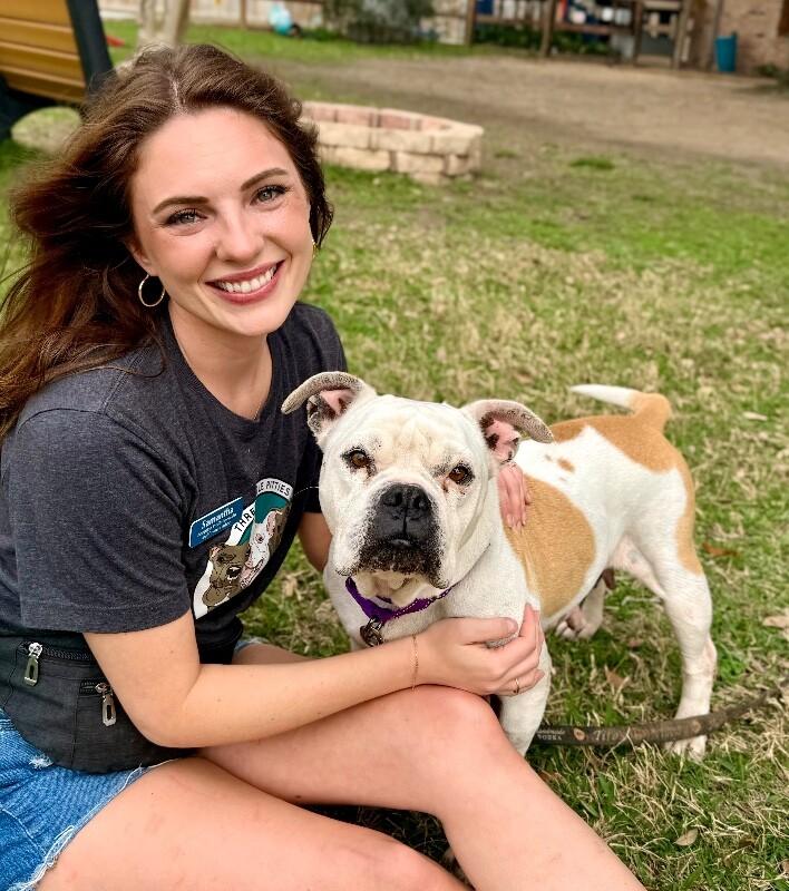 Miss Cheesecake Sweeter Than Sugar — thumbnail 5