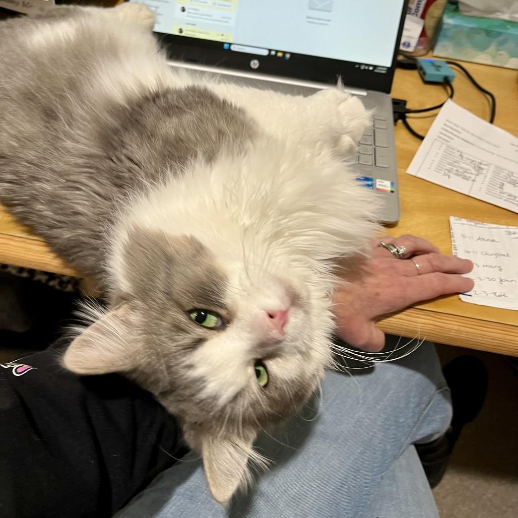 Greyson — thumbnail 3