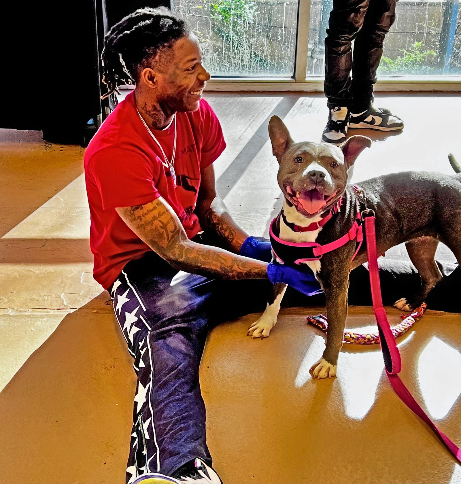 Enlarge Icey, a Adopted American Staffordshire Terrier in Atlanta, GA image 3/3