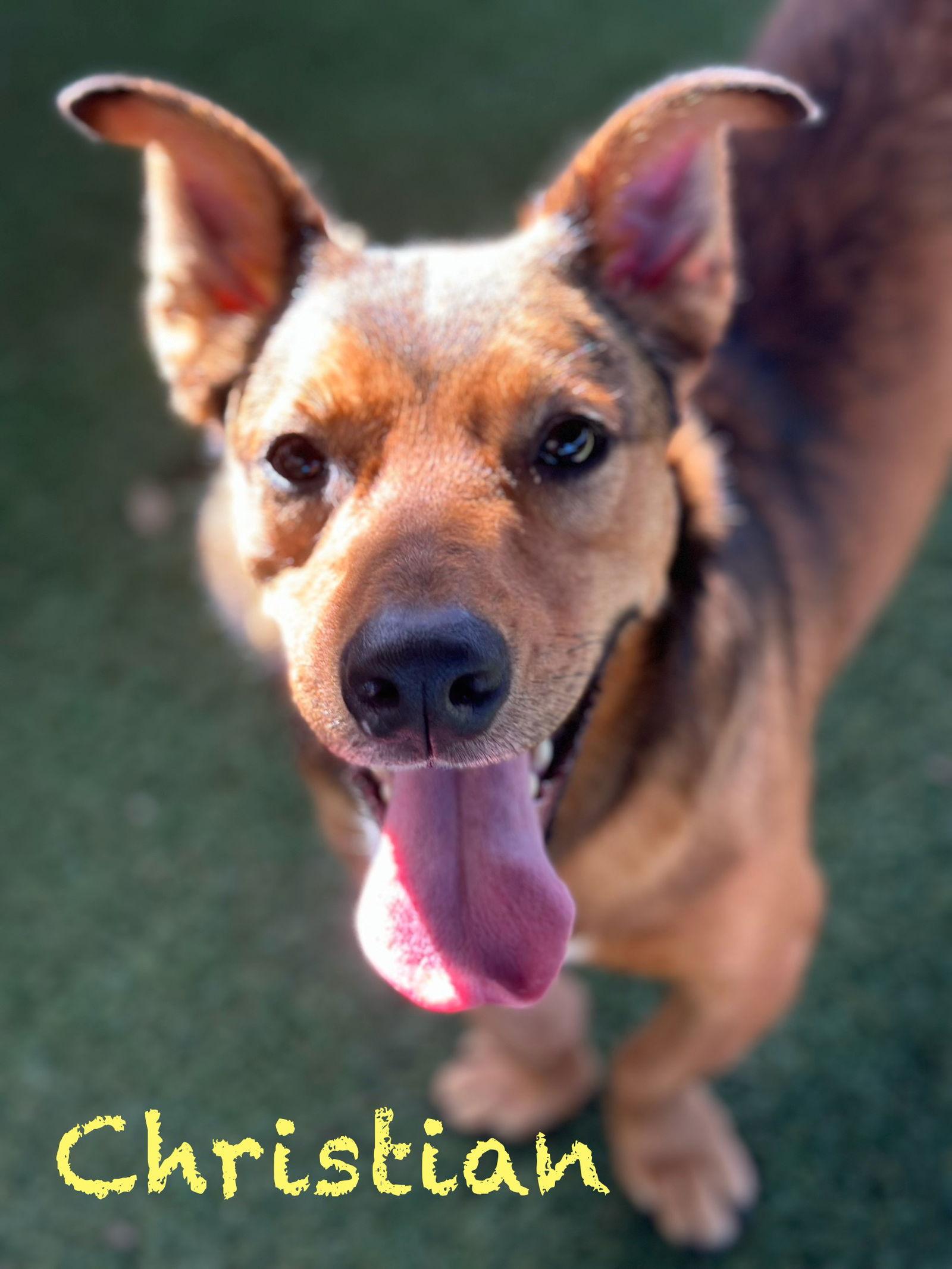 Christian — thumbnail 2