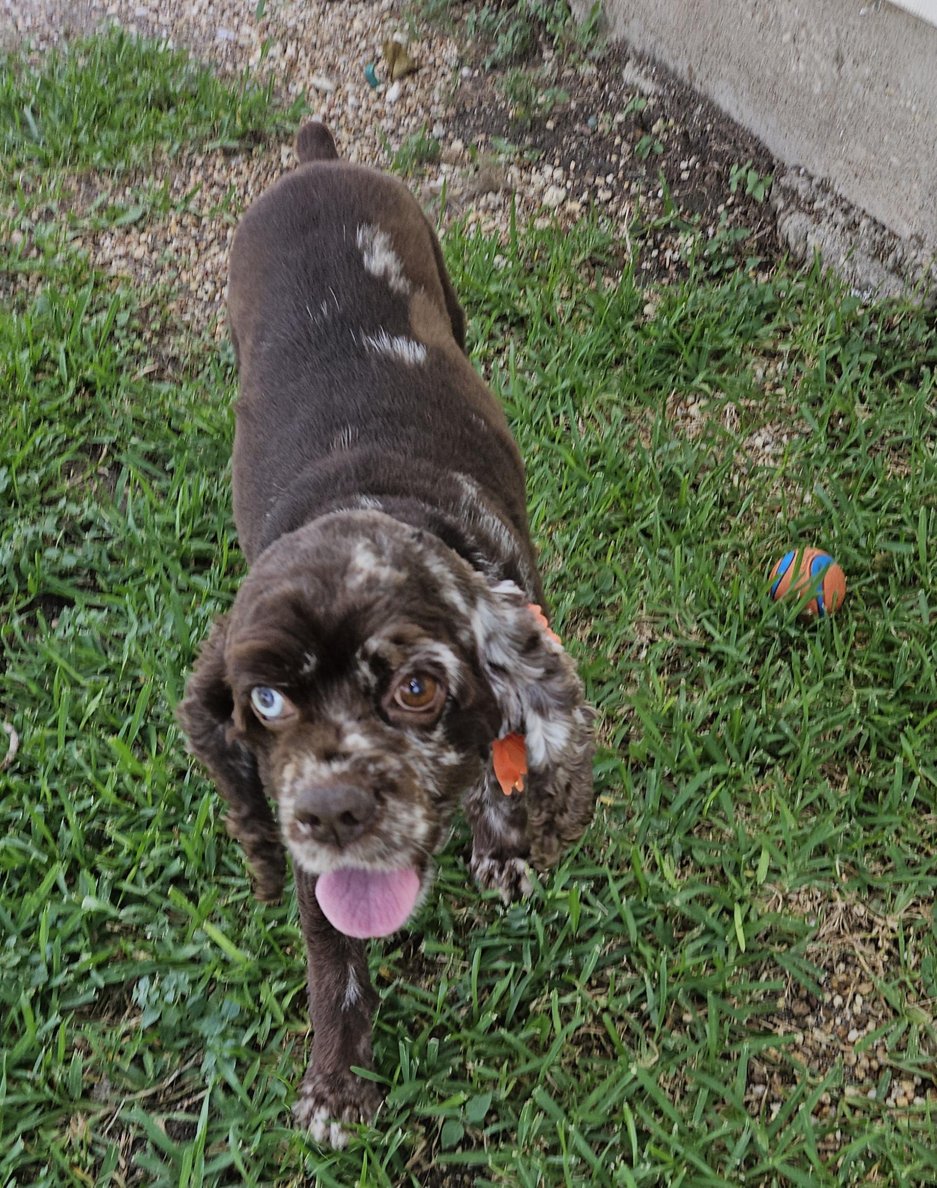 Doris
