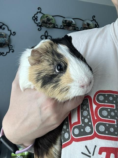Darwin photo 4