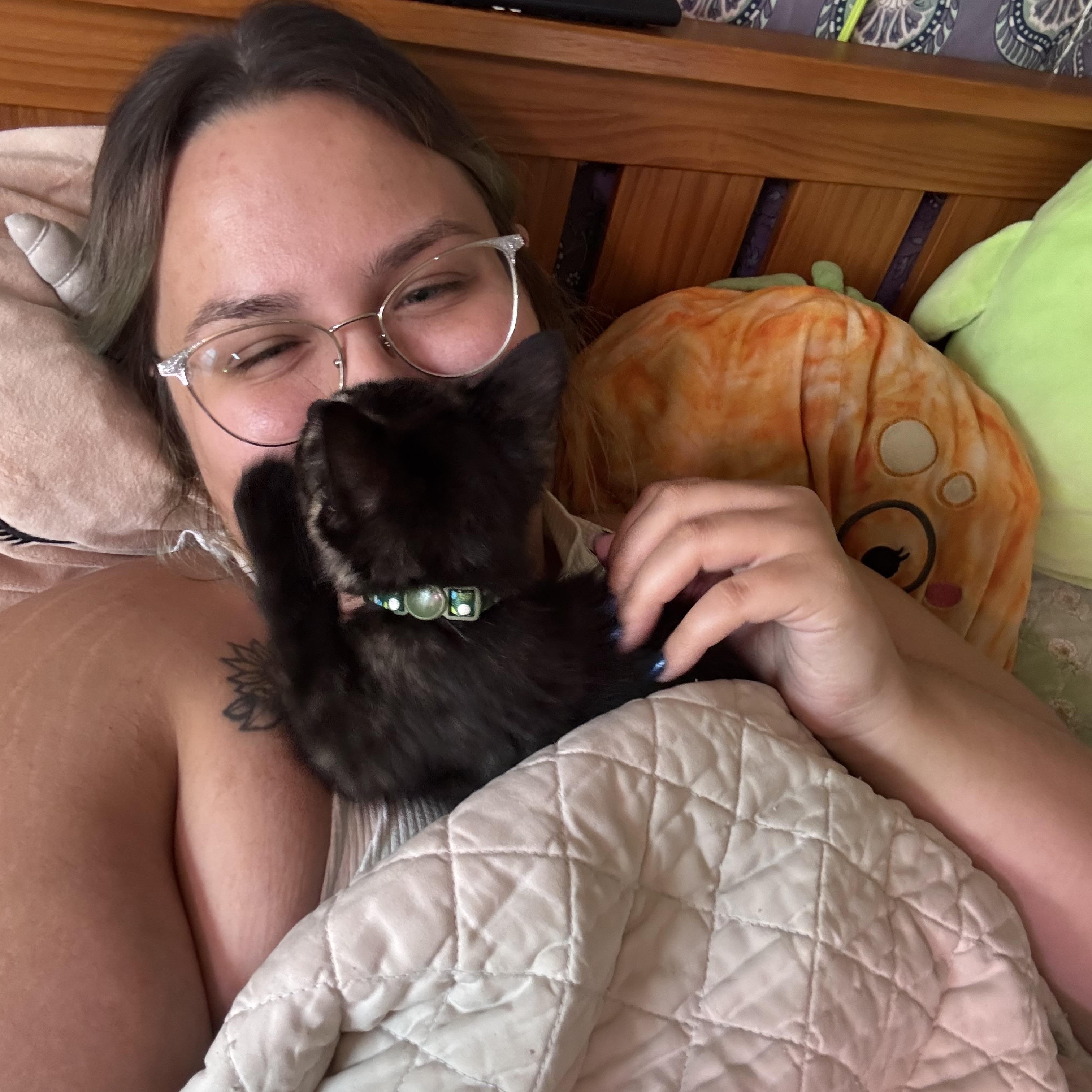 Essie, a ADOPTABLE Tortoiseshell in Midland, MI image 2/6