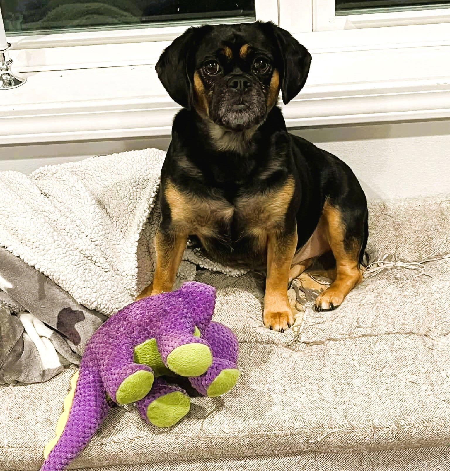 Lady Jenna thumbnail 2