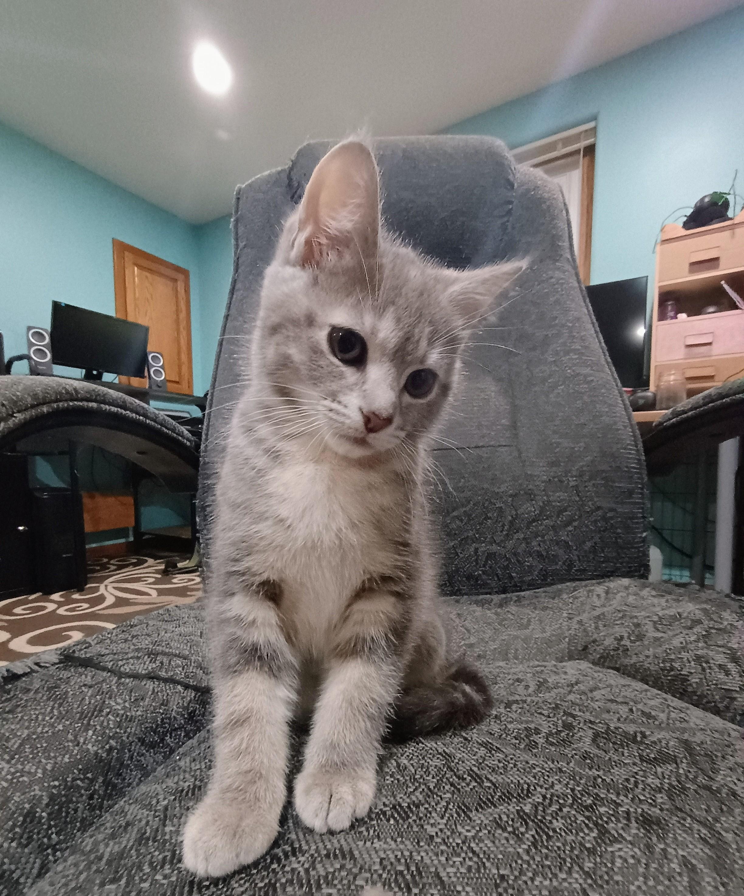 Lily