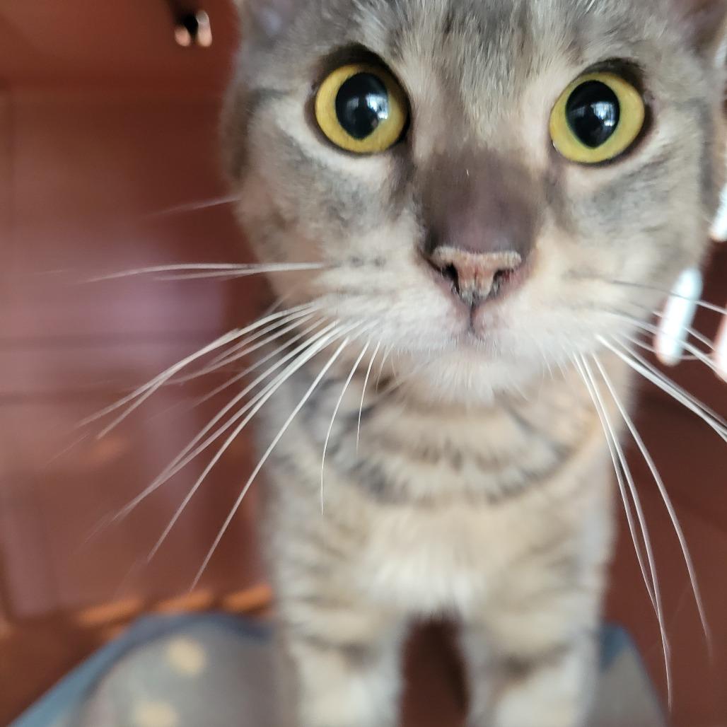 Booger — thumbnail 2