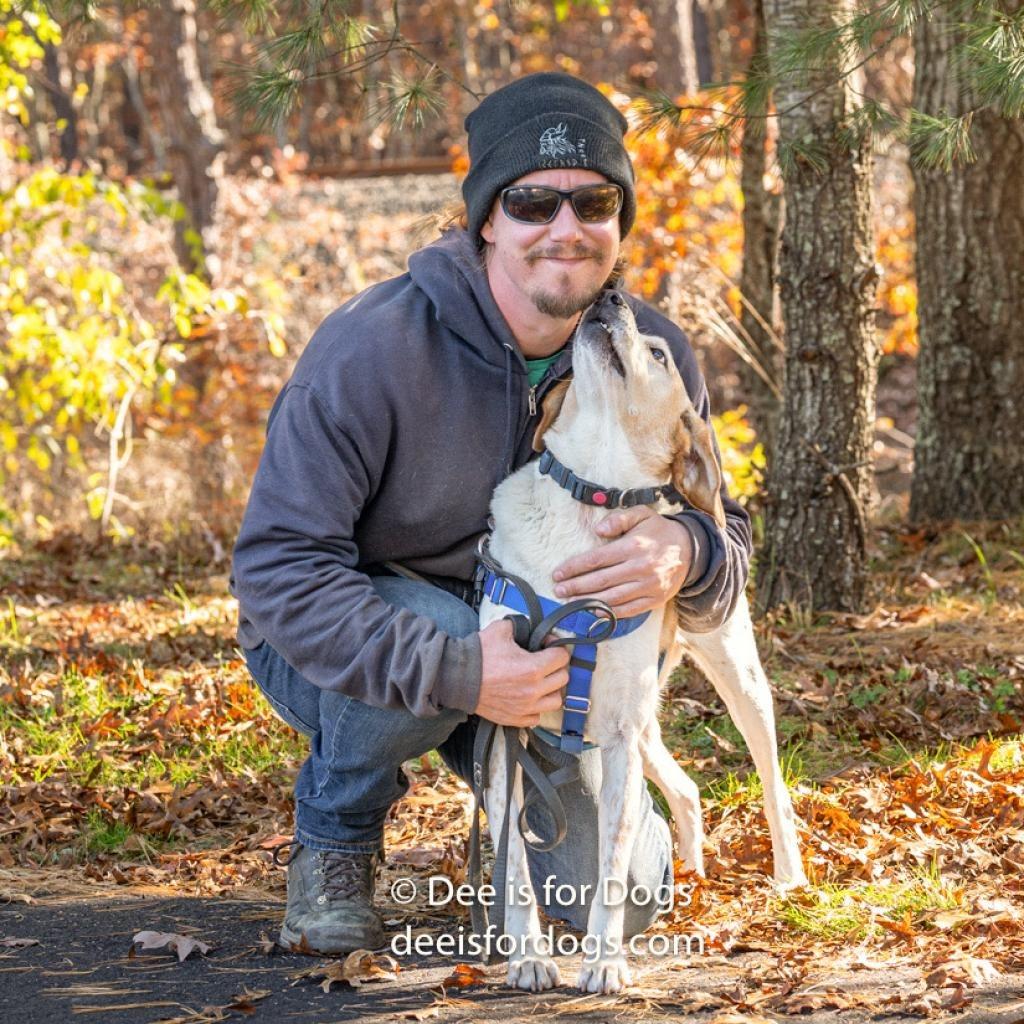 CoCo, a Adoptable Hound in East Hampton, NY image 4/6