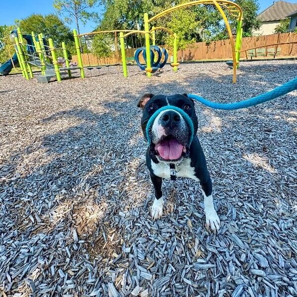 Zara Ann is your new best friend — thumbnail 2