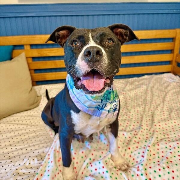 Zara Ann is your new best friend — thumbnail 4