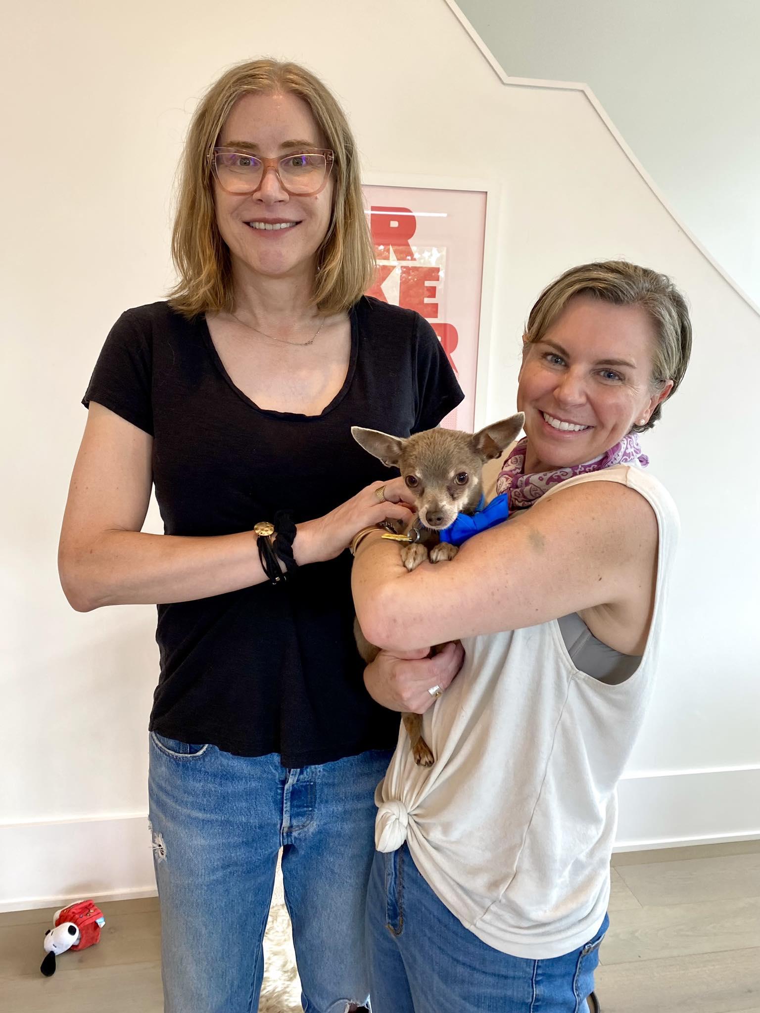 Enlarge Squiggy - ADOPTED!, a Adopted Chihuahua in Houston, TX image 6/6