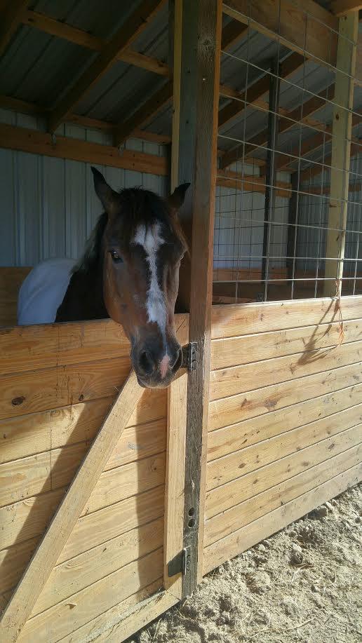 Buster photo 3