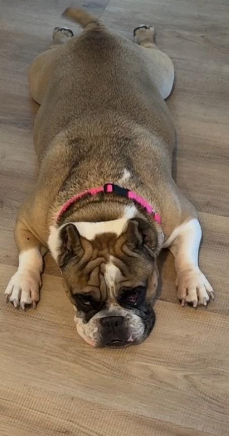 Ruby photo 3