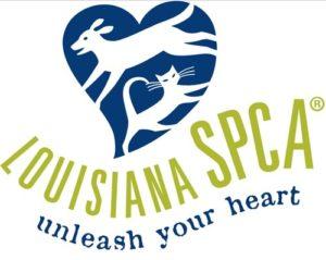 Enlarge Calypso, a Adoptable mixed breed in New Orleans, LA image 2/2