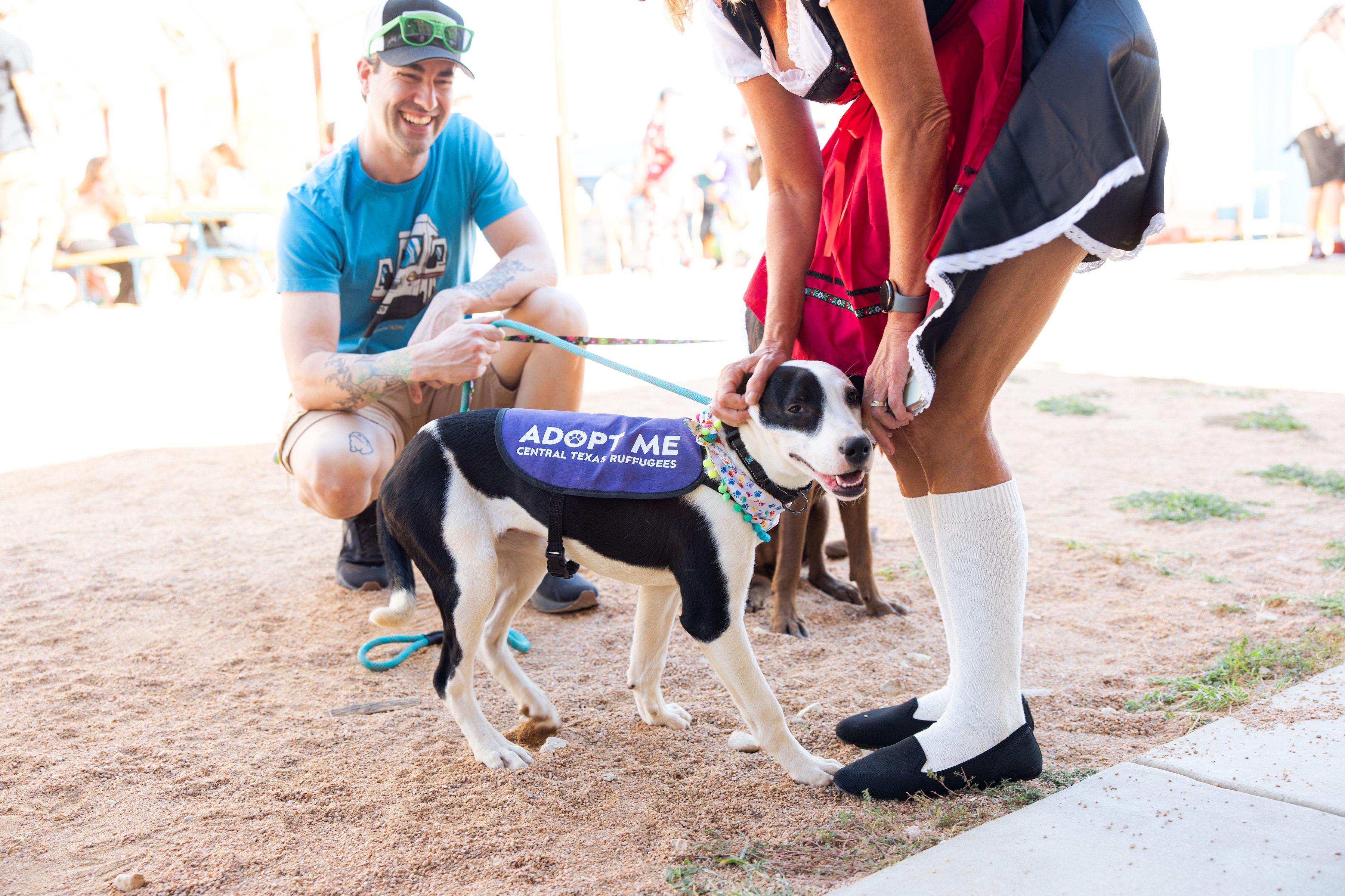 Harley Quinn photo 1