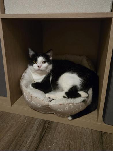 Hera — thumbnail 6