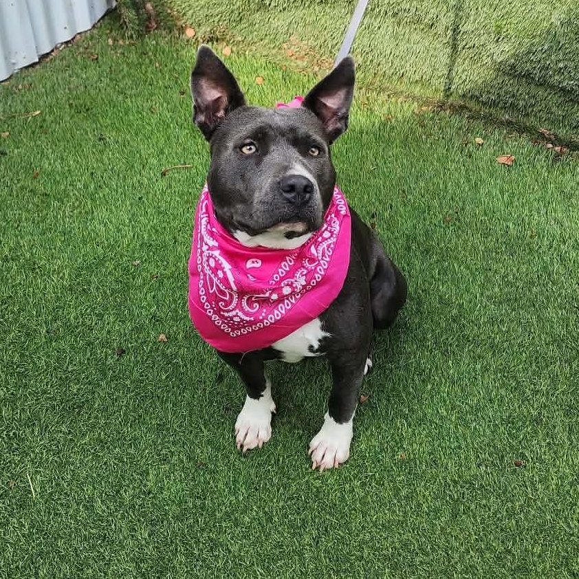 Lucy — thumbnail 3