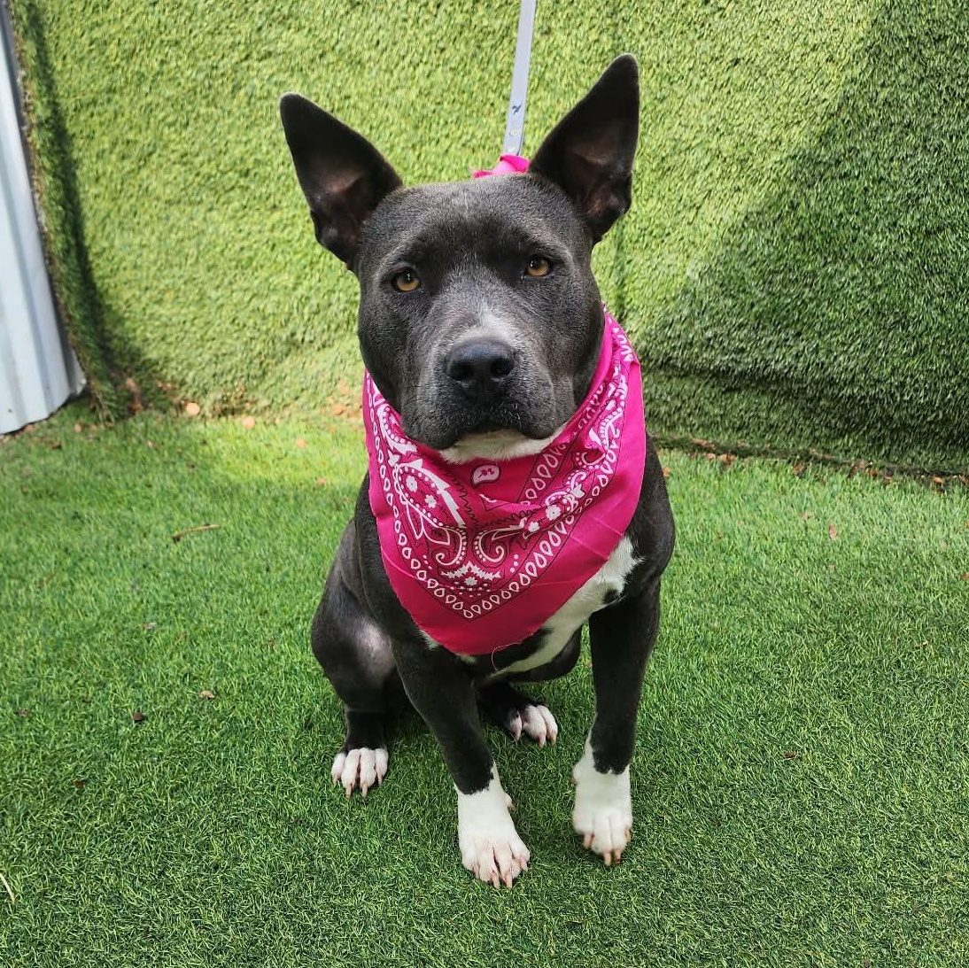 Lucy — thumbnail 6