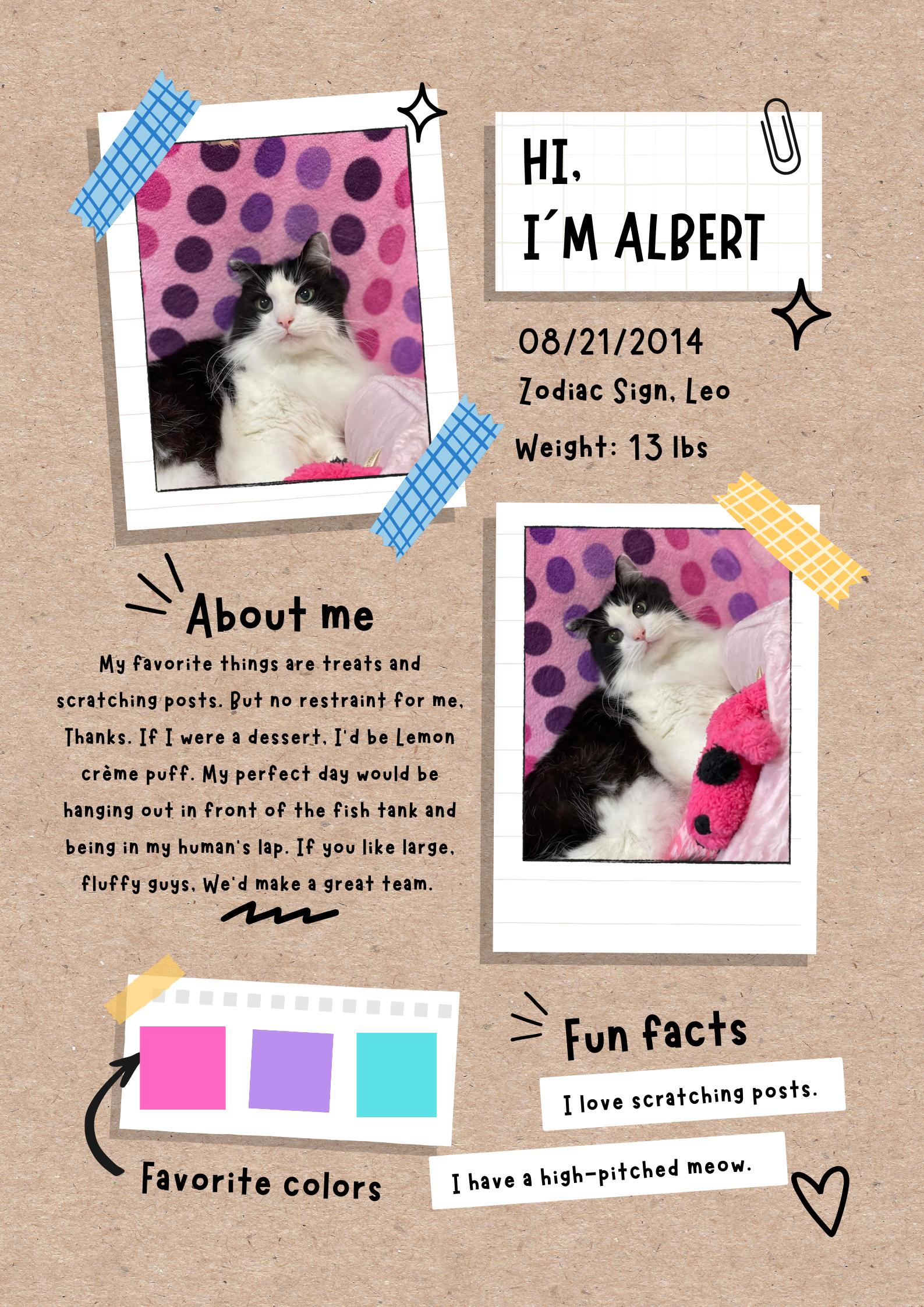 Albert