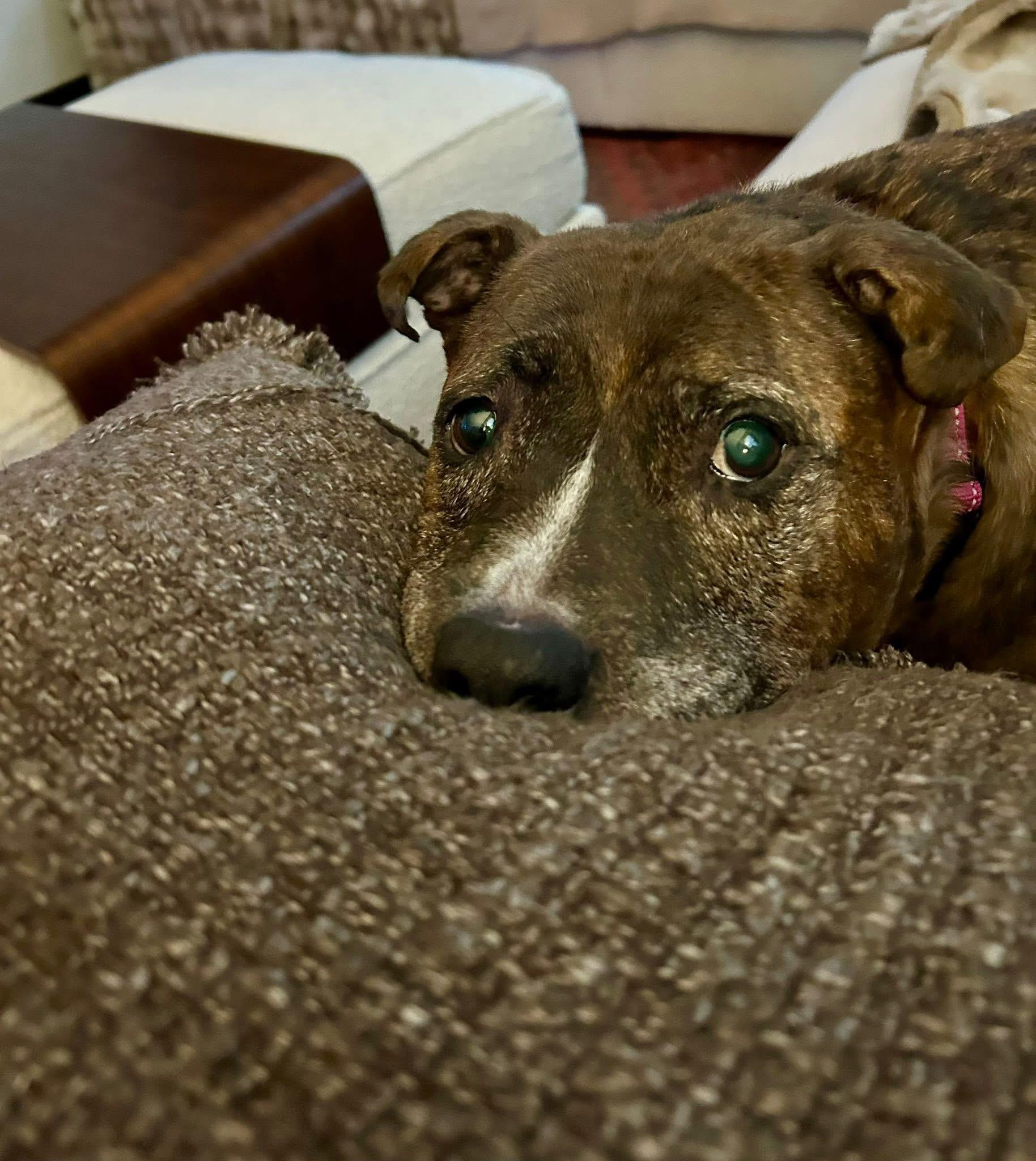 Fresa — thumbnail 3