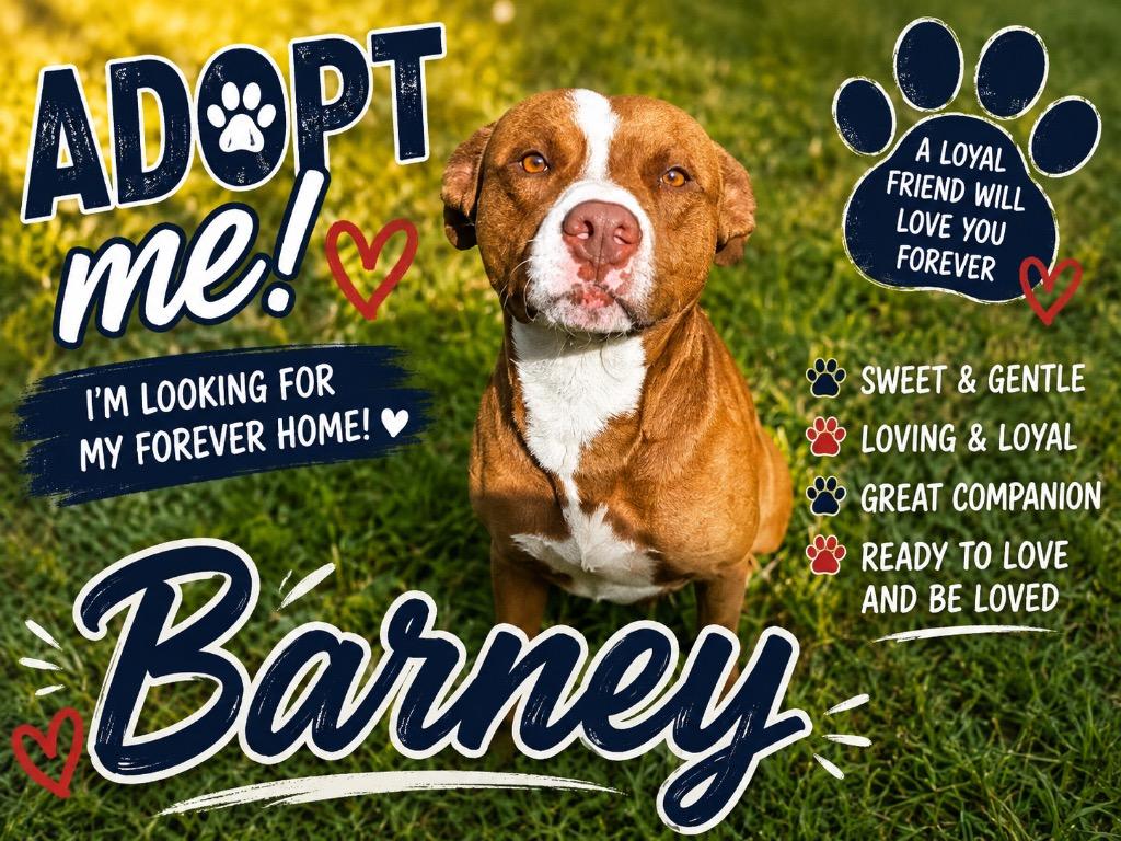 Enlarge Barney, a Adoptable mixed breed in Shelbyville, TN image 2/2