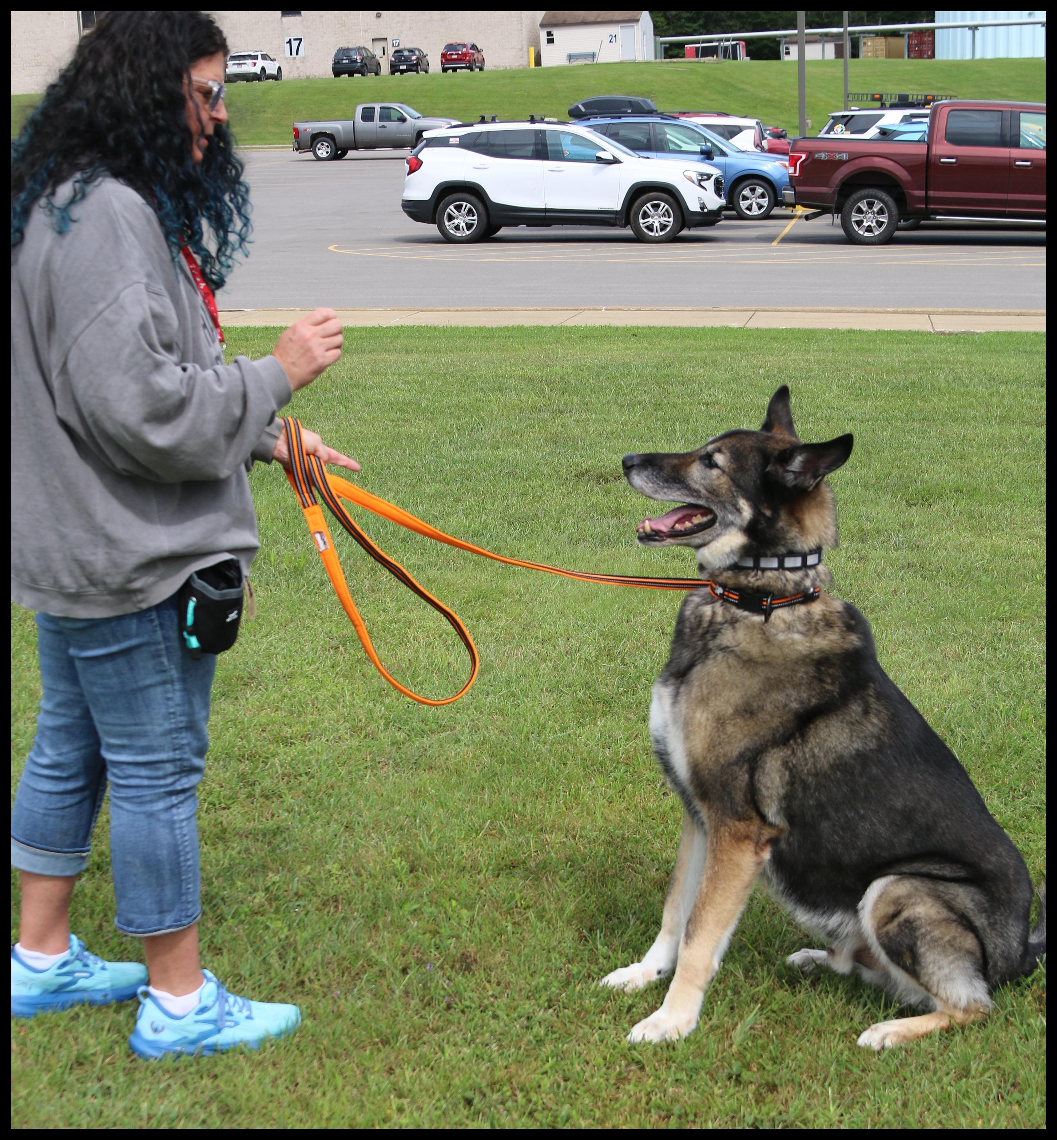 Enlarge Barrett, a Adoptable mixed breed in Shippenville, PA image 5/6