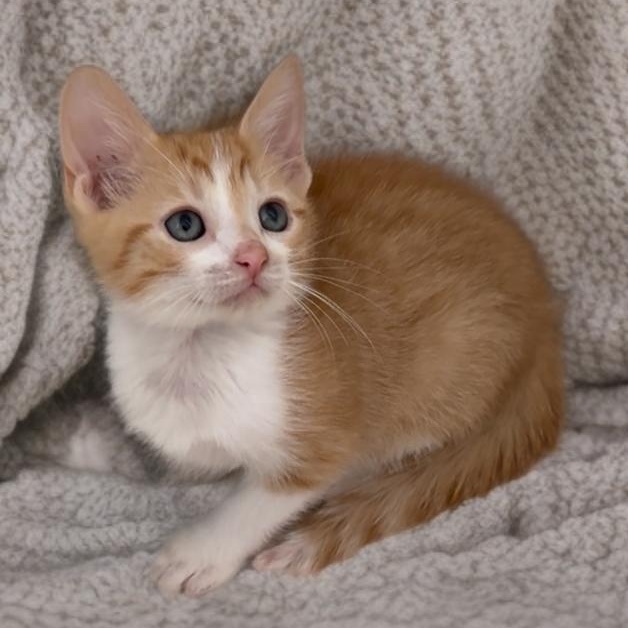 Norman and Sissy — thumbnail 4