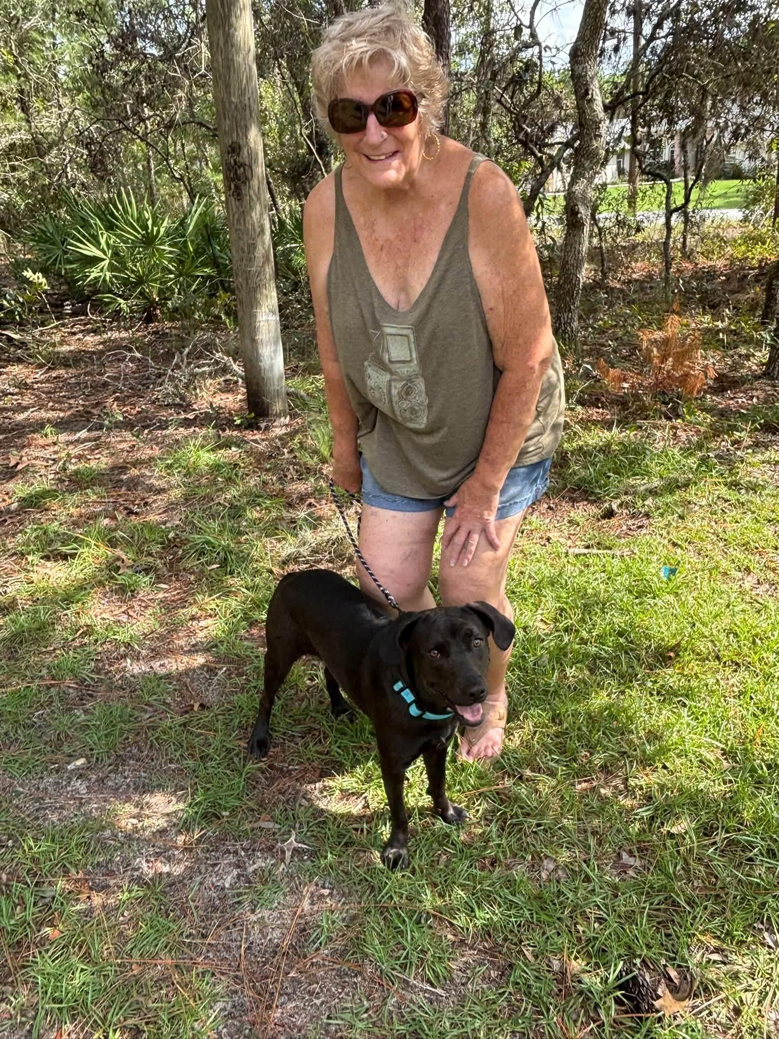 Enlarge Little Girl, a Adoptable mixed breed in Inverness, FL image 4/4
