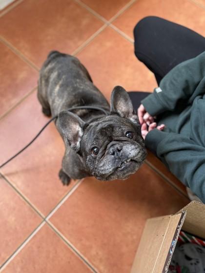 Skywalker thumbnail 2