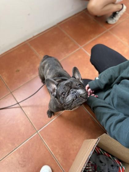 Skywalker thumbnail 3