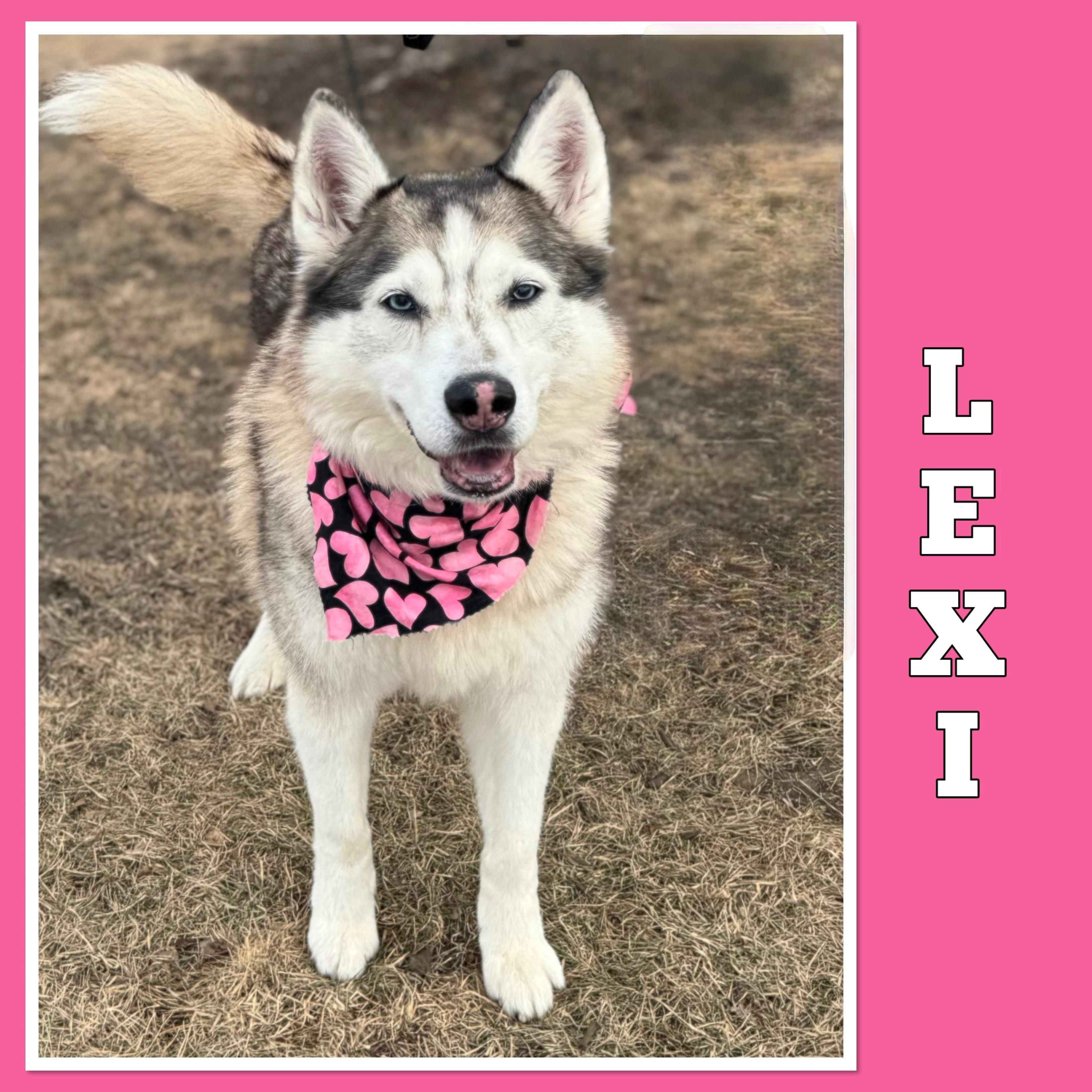 Lexi